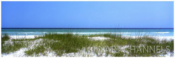 The Dunes of Destin